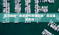 实测辅助”新道游作弊辅助器”其实确实有挂