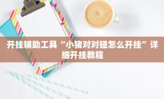 开挂辅助工具“小猪对对碰怎么开挂”详细开挂教程