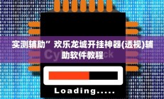 实测辅助”字牌可以开挂吗(透视)辅助软件教程