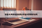 祁连大草原旅游团购/祁连大草原好玩吗