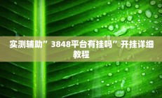 实测辅助”3848平台有挂吗”开挂详细教程