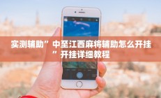 实测辅助”中至江西麻将辅助怎么开挂”开挂详细教程