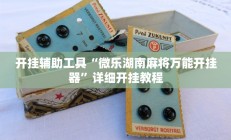 实测辅助”新金龙透视挂”详细开挂教程