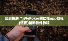 实测辅助“)WePoker辅助挂app教程(透视)辅助软件教程