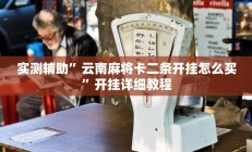 实测辅助”德州werplan作弊辅助透视”开挂详细教程