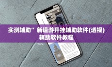 实测辅助”微乐河南麻将小程序万能挂免费版”详细开挂教程