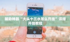 辅助神器“大头十三水怎么开挂”详细开挂教程