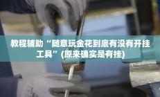 教程辅助“随意玩金花到底有没有开挂工具”(原来确实是有挂)