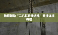 教程辅助“二八杠开挂透视”开挂详细教程