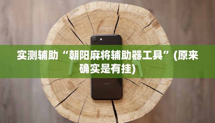 实测辅助”appoker作弊透视开挂方法”开挂详细教程