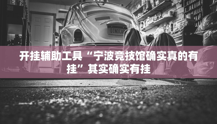 实测辅助”龙鼎拼十用挂开挂软件”开挂详细教程