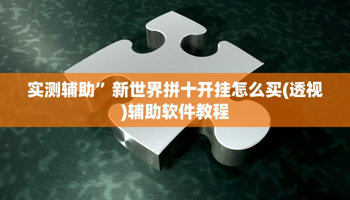 实测辅助”新世界拼十开挂怎么买(透视)辅助软件教程