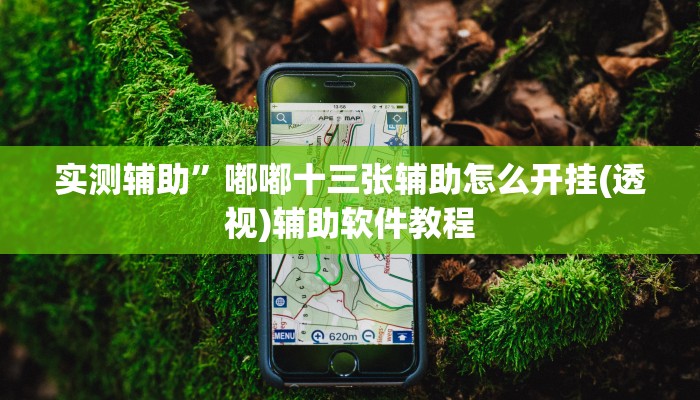 实测辅助”微乐亲友房可以开挂吗(透视)辅助软件教程