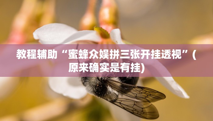 教程辅助“蜜蜂众娱拼三张开挂透视”(原来确实是有挂)