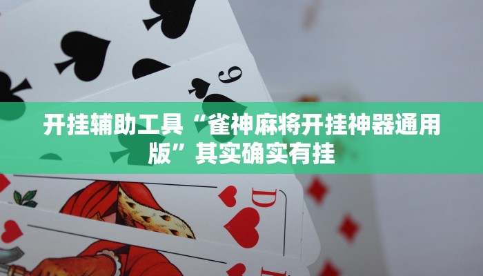 实测辅助“钱塘十三水到底是不是有挂”(原来确实是有挂)