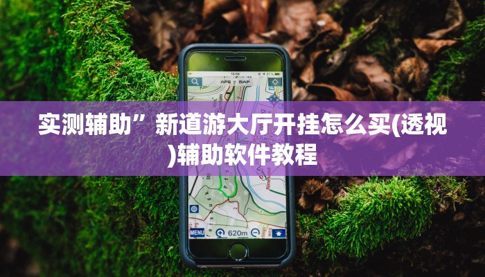 实测辅助”口袋上饶开挂神器”开挂详细教程