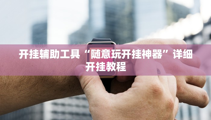 开挂辅助工具“随意玩开挂神器”详细开挂教程