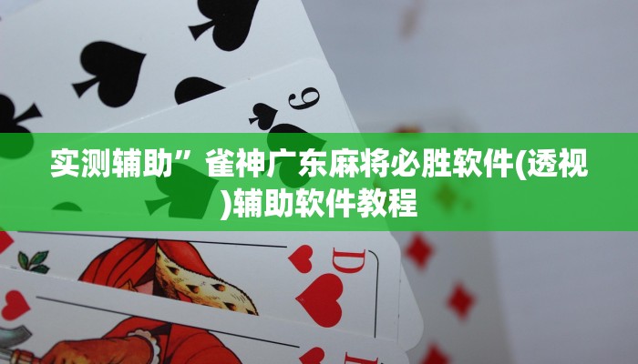 实测辅助”阿坝斗十四开挂神器”开挂详细教程