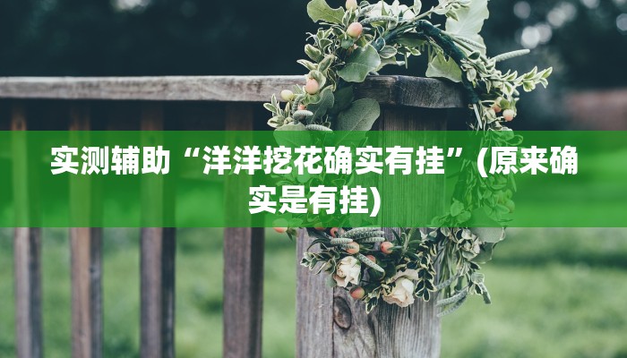实测辅助“洋洋挖花确实有挂”(原来确实是有挂)