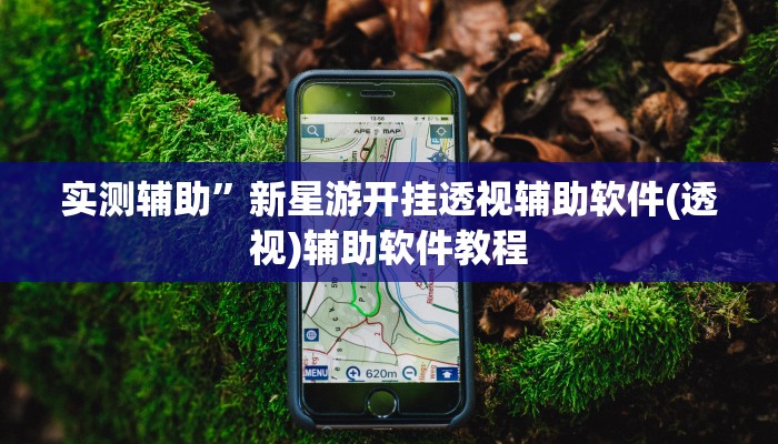 实测辅助”新星游开挂透视辅助软件(透视)辅助软件教程