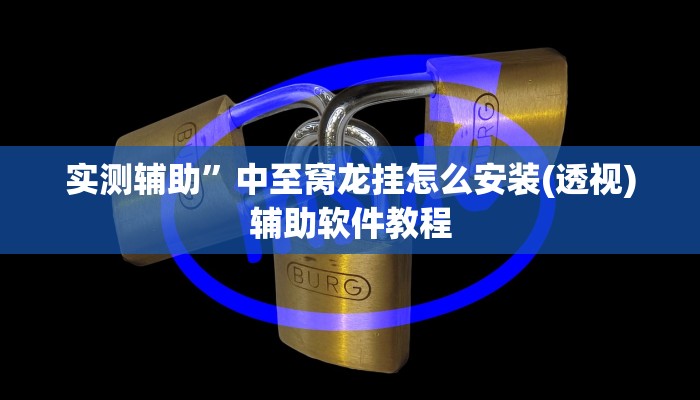 实测辅助”中至窝龙挂怎么安装(透视)辅助软件教程