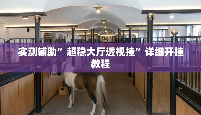 实测辅助”蜀州跑得快要怎么开挂(透视)辅助软件教程