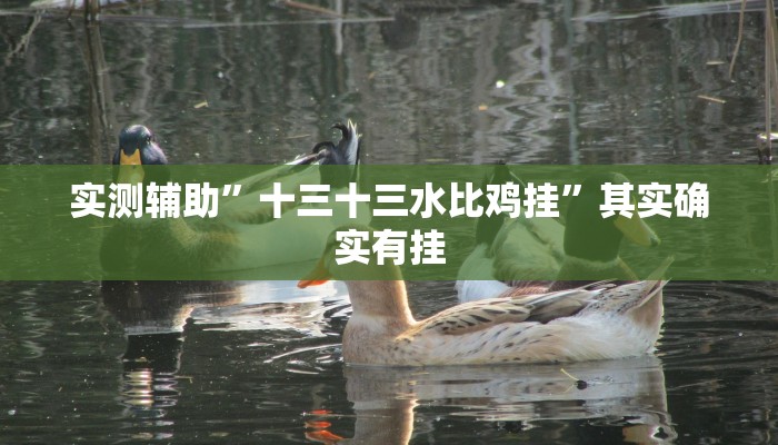 实测辅助”十三十三水比鸡挂”其实确实有挂