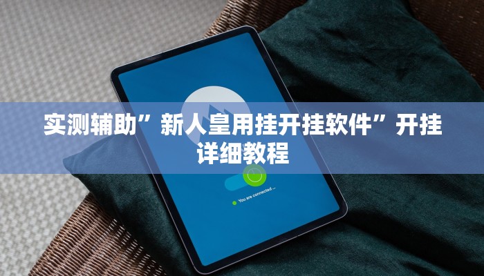 实测辅助”新人皇用挂开挂软件”开挂详细教程