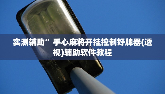 实测辅助”手心麻将开挂控制好牌器(透视)辅助软件教程