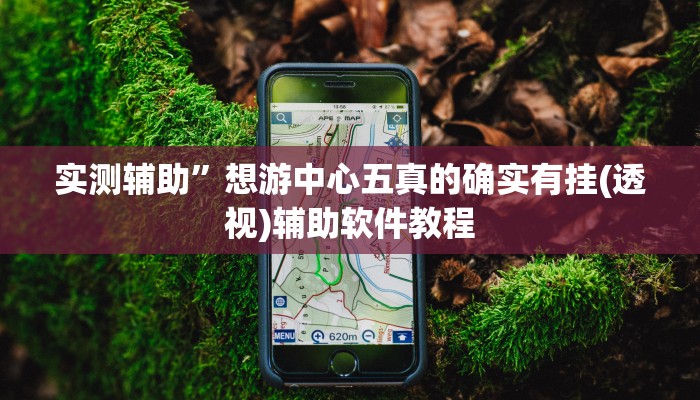 实测辅助”想游中心五真的确实有挂(透视)辅助软件教程
