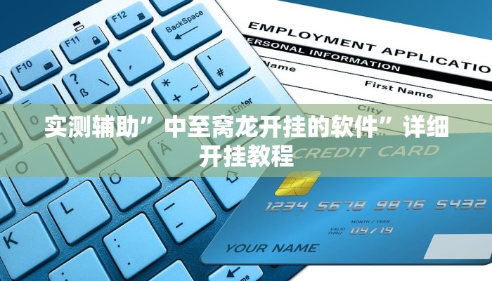 实测辅助”中至窝龙开挂的软件”详细开挂教程