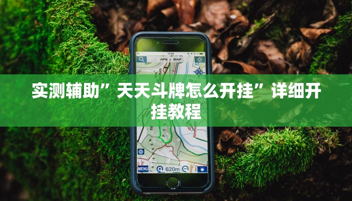 实测辅助”天天斗牌怎么开挂”详细开挂教程