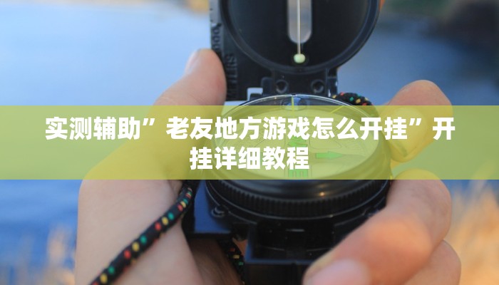 实测辅助”老友地方游戏怎么开挂”开挂详细教程