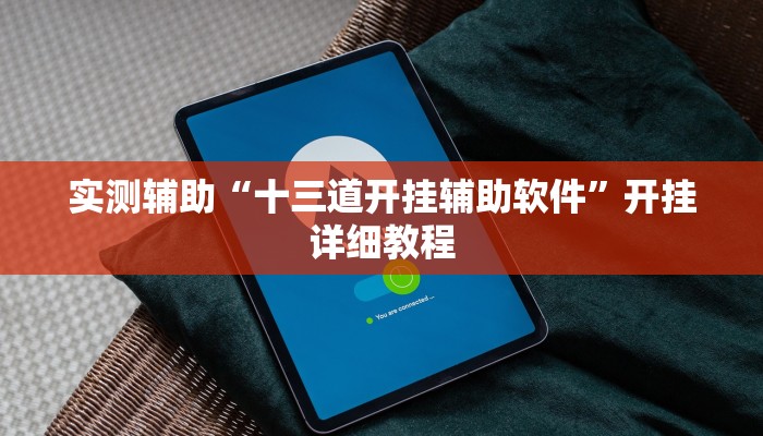 实测辅助“十三道开挂辅助软件”开挂详细教程