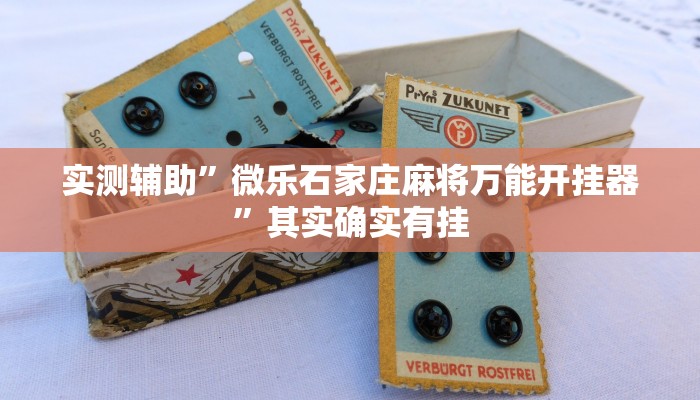 实测辅助”微乐石家庄麻将万能开挂器”其实确实有挂