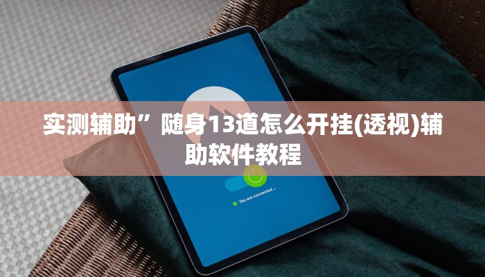 实测辅助”随身13道怎么开挂(透视)辅助软件教程