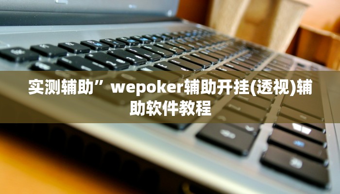 实测辅助”wepoker辅助开挂(透视)辅助软件教程