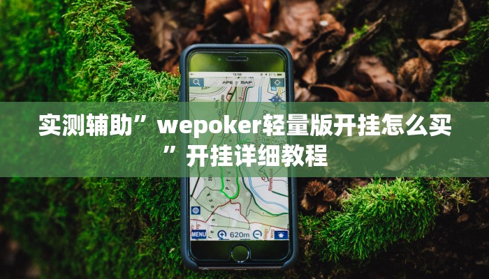 实测辅助”wepoker轻量版开挂怎么买”开挂详细教程