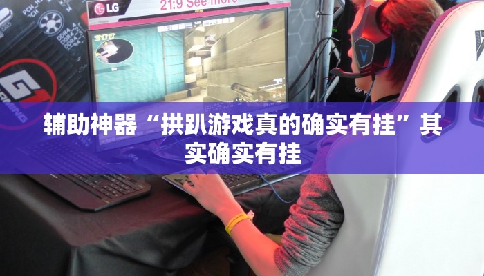 辅助神器“拱趴游戏真的确实有挂”其实确实有挂