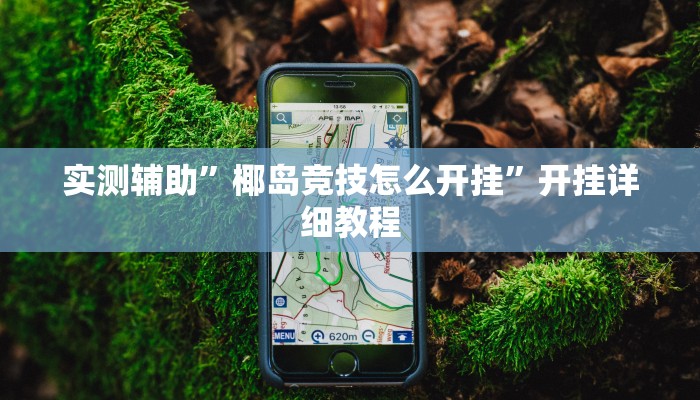 实测辅助”椰岛竞技怎么开挂”开挂详细教程