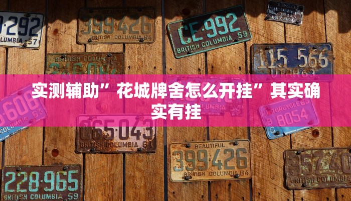 实测辅助”花城牌舍怎么开挂”其实确实有挂