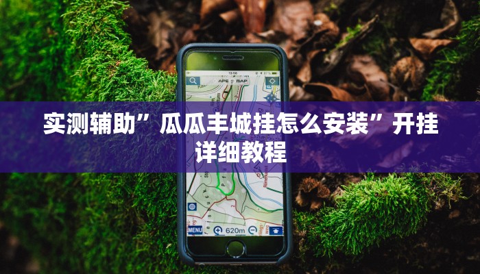实测辅助”瓜瓜丰城挂怎么安装”开挂详细教程