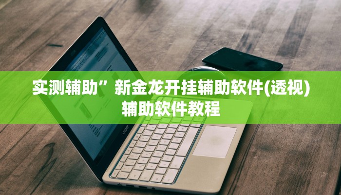 实测辅助”新金龙开挂辅助软件(透视)辅助软件教程