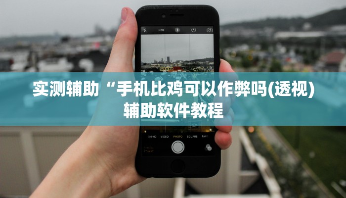 实测辅助“手机比鸡可以作弊吗(透视)辅助软件教程