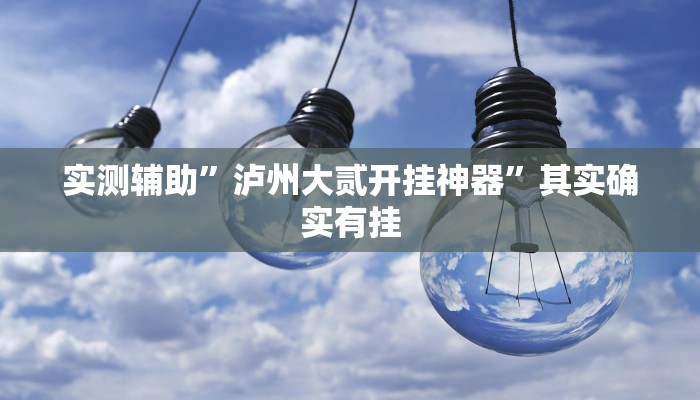 实测辅助”泸州大贰开挂神器”其实确实有挂