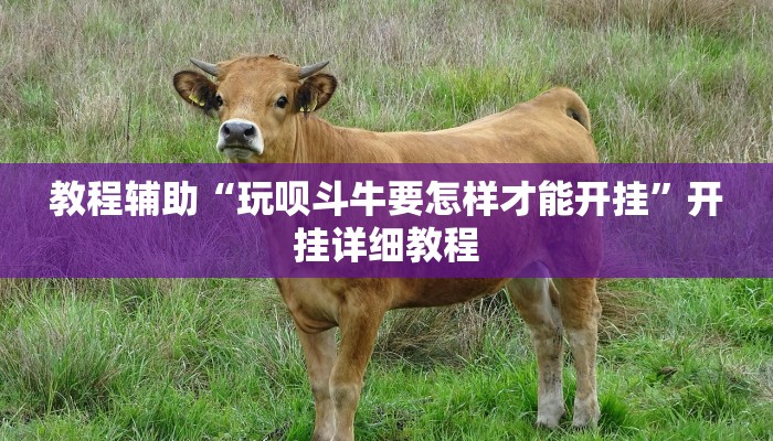 教程辅助“玩呗斗牛要怎样才能开挂”开挂详细教程