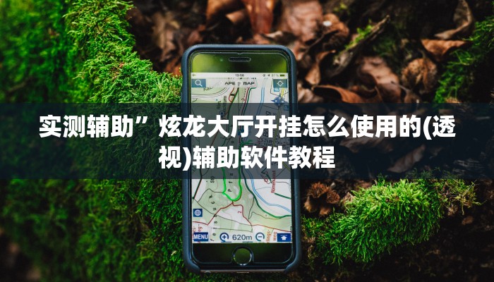 实测辅助”炫龙大厅开挂怎么使用的(透视)辅助软件教程
