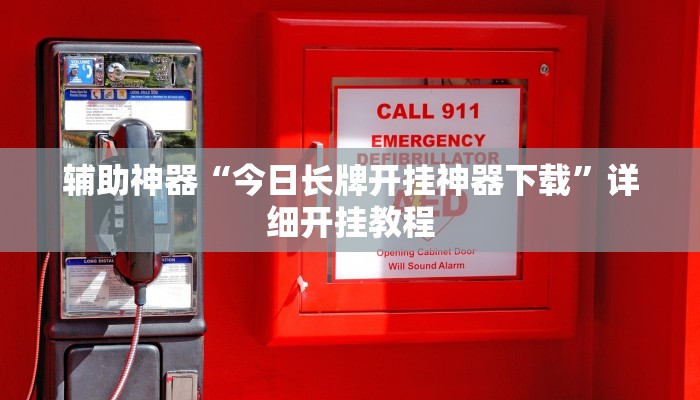 辅助神器“今日长牌开挂神器下载”详细开挂教程
