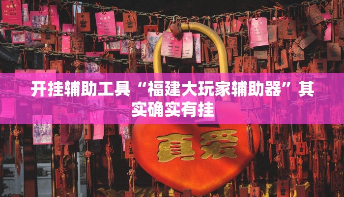 开挂辅助工具“福建大玩家辅助器”其实确实有挂