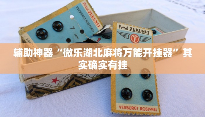 辅助神器“微乐湖北麻将万能开挂器”其实确实有挂
